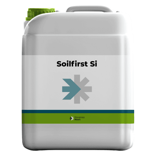 سویل فرست اس آی تریدکورپ